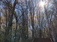 -白草畔自然风景区