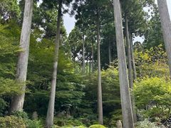 -三千院