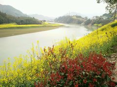 -新安江山水画廊风景区