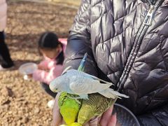 -茅山东方盐湖城景区