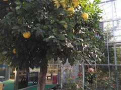 -南通洲际绿博园