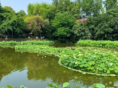 -成都市文化公园