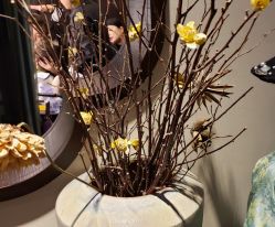 -盘子女人坊古装写真摄影(天津总店)