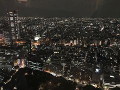 -东京都厅舍