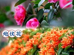 -李宁体育园