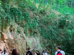 -上海佘山国家森林公园西佘山园