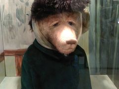 -济州岛泰迪熊博物馆