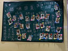 -藏猫猫咖啡主题馆(中央大道店)