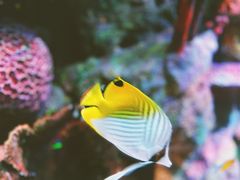 -沈阳海洋探索中心