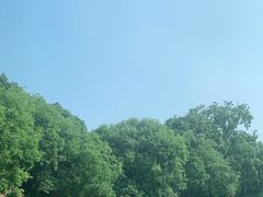 -西湖外事游船(花港观鱼码头)