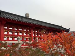 -横山寺