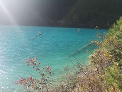 -叠溪松坪沟景区