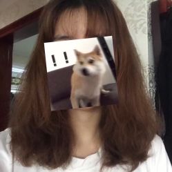 -贰伍玖造型