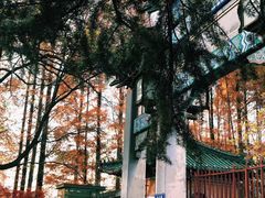 -明故宫遗址公园