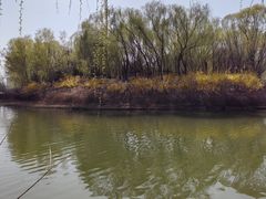 -大兴滨河森林公园