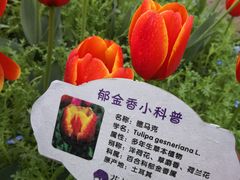 -花博汇(知音花月夜)