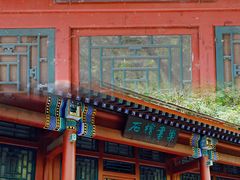 -国家植物园