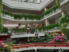 -白天鹅宾馆-宏图府餐厅