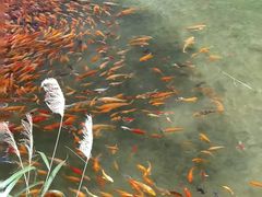 -楠溪江风景名胜区