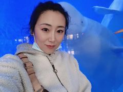 -泉城欧乐堡海洋极地世界