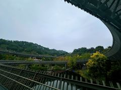 -福道
