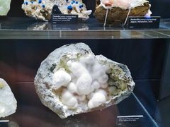 -墨尔本博物馆(Melbourne Museum)
