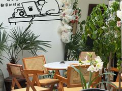 -树咖啡tree coffee