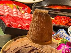 -袁老四重庆老火锅(桐梓坡店)