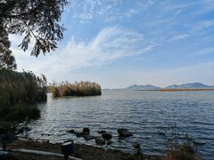 -东钱湖旅游度假区