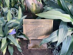 -国家植物园南园