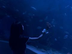 -太平洋海底世界