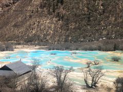 -黄龙山原始森林景区