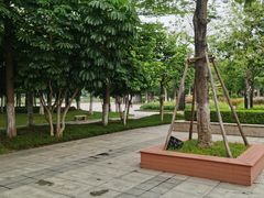 -映月湖公园