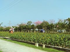 -广东花都香草世界旅游度假区