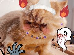 -星巴克(北京望京店)