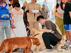 -帕帕拉兹宠物(亚洲旗舰店)