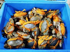 -杨记海鲜楼(三门黑金冠店)