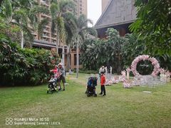-三亚湾红树林度假世界(木棉酒店)