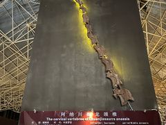 -世界恐龙谷景区