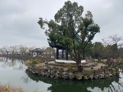 -无锡蠡湖国家湿地公园-蠡园