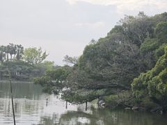 -江心屿景区