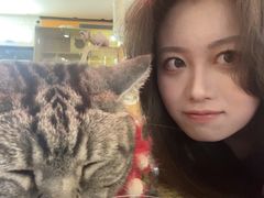 -平行世界·猫咖(首经贸店)