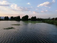 -正宗老字号万州烤鱼(怡福路店)