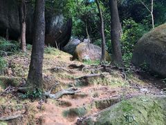 -火炉山森林公园