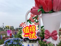 -荷兰花海