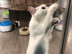 -宠物世家(仲盛世界商城店)