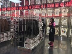 -VT101维多利广场