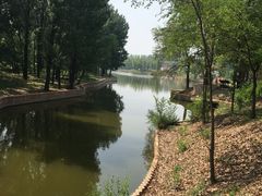 -顺鑫绿色度假村