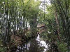 -林丰温泉度假山庄