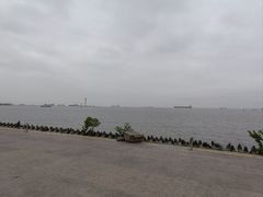 -上海滨江森林公园